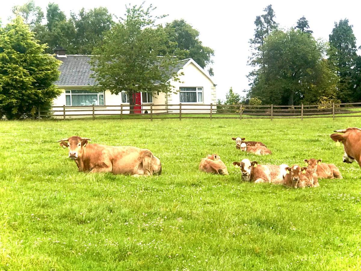 Knocknagore Cottage Gilford المظهر الخارجي الصورة